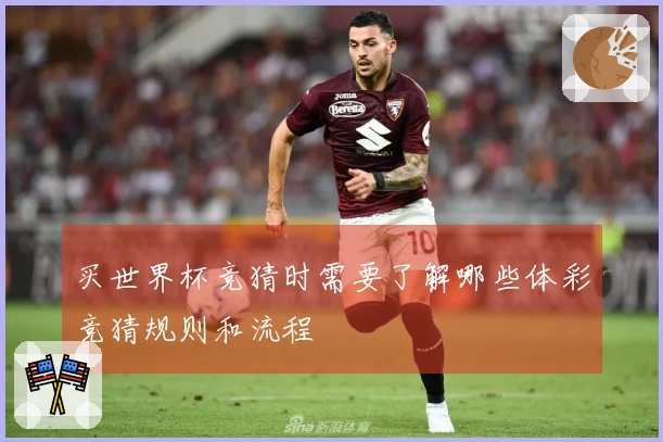 买世界杯竞猜时需要了解哪些体彩竞猜规则和流程