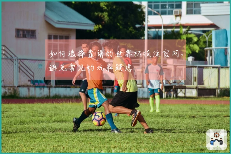 如何选择靠谱的世界杯投注官网，避免常见的坑和疑虑