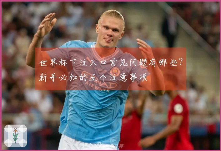 世界杯下注入口常见问题有哪些？新手必知的五个注意事项