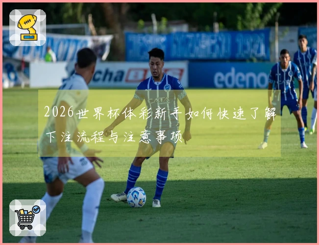 2026世界杯体彩新手如何快速了解下注流程与注意事项