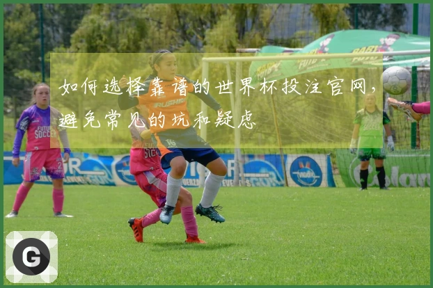 如何选择靠谱的世界杯投注官网，避免常见的坑和疑虑